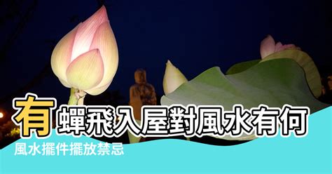 蟬入屋風水|【蟬風水】風水擺件擺放禁忌 